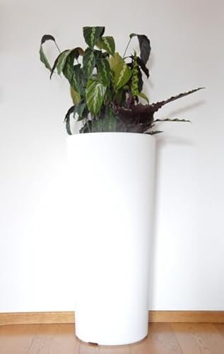 Generico Vaso FIORIERA Tondo in PLASTICA Alto 65 CM i Cache-Pot CLOU Veca diam. 30 cm Made in Italy Bianco