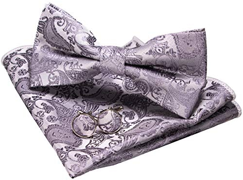 JEMYGINS Silber Paisley Fliege und Einstecktuch mit Manschettenknöpfe Sets für Herren (Silber2)