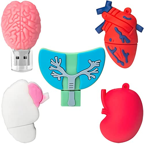 16GB*5 USB-Stick USB-Flash-Laufwerk, Memory Stick Cartoon Speicherstick Flash-Speicher-Stick, Pen Drive für Schule Büro Auto PC Laptop (16GB*5, Menschliche Organe)