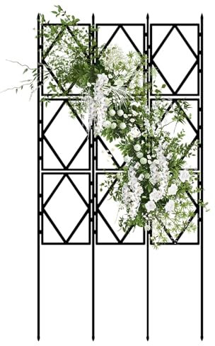 MARXAN Rankgitter für den Garten im Freien, Rankgitter für Kletterpflanzen auf dem Balkon, Rankgerüst für Rosen, Blumen und Rankhilfe für Wände, Zäune und Terrassen – Schwarz(W60xH180CM(2.0x5.9FT))