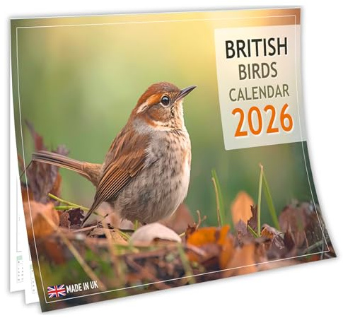 British Birds Calendar 2026 – A4 Wall Calendar A3 When Open, Beautiful British Bird Species Photography, Premium 150gsm Silk Paper, Spacious Date Boxes, UK Bank Holidays, Made & Designed in the UK