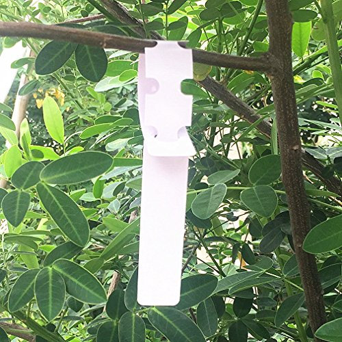 Qiorange 100Stk. Weiß Plastik Pflanzenstecker Stecketiketten Beschriften Pflanzschilder Schilder 2CM * 20CM Sind Praktisch für Kindergarten (100 Pcs Weiß Type C)