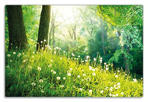 Wallario Frühstücksbrettchen aus Glas, Glasunterlage, Glasbrettchen Pusteblumen im Wald mit einfallenden Sonnenstrahlen, Größe 20 x 30 cm, Sicherheitsglas