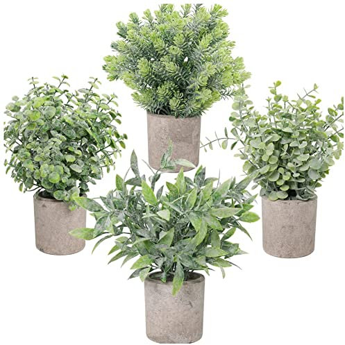 Tassety Kleine künstliche Pflanzen, Mini-Eukalyptus, Buchsbaum, Grün in Töpfen, kleine Topfpflanze, Dekoration, 4 Stück