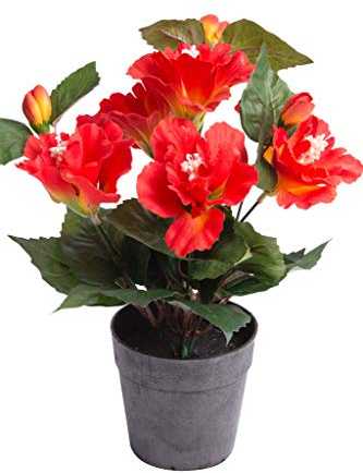 Nova-Nature künstlicher Hibiskus mit 5 Blütenköpfen im schwarzen Kunststofftopf (orange-rot)