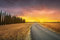 adrium Holz-Bild 90 x 60 cm: Sonnenuntergangslandschaft bei schlechtem Wetter. Landstraße, Zypressen. grünes feld, sonnenlicht und wolken. Maremma, Toskana, (65541882)