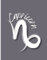 Composition Notebook - Capricorn Zodiac Wide Rule 110 pages (55 sheets) 9-1/4 x 7-1/2 inches