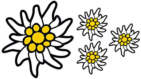 Aufkleber Allgäu Edelweiss Autoaufkleber Camper Sticker Waschanlagenfest Wetterfest Wohnmobil Anhänger Motorrad