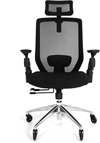 Neatfi Ergonomischer Bürostuhl, Verstellbarer Drehstuhl mit 4D Armlehnen, 2D Kopfstütze, Lendenwirbelstütze, Hochlehniger Mesh-Stuhl mit Nylon-Rückenlehne, Chromfuß mit Klingenrädern (Schwarz)