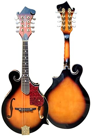 ZENGXUE F Shaped Single Carved Mandolin With Hard Case Mandolin Musical Instrument