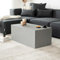 Home Deluxe - Couchtisch Amiri L - Farbe: Grau, Größe: 95 x 50 cm, MDF Platte, bereits fertig montiert I Wohnzimmertisch Beistelltisch Sofatisch