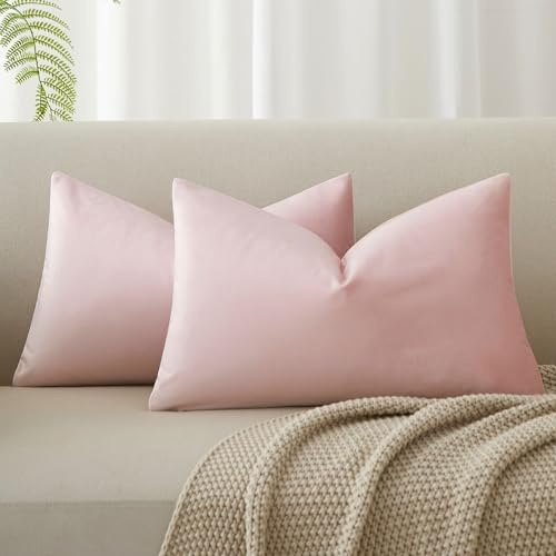 JUSPURBET Pink Throw Pillow Covers Set of 2 Decorative Velvet Pillow Covers for Couch Sofa Bed Soft Lumbar Cushion Covers with Invisible Zipper for Living Room Home Decor,14x24 inch