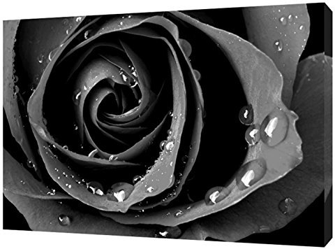 Noir Blanc Rose Tableau Impression sur bois Toile sur cadre Art mural Décoration de la Maison, 16'' x 12'' inch(40x 30 cm) -18mm depth