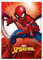 Spiderman Marvel-Decke