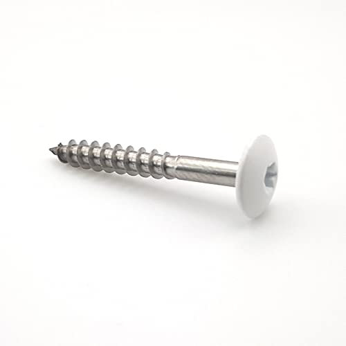 Vis pour panneaux de façade 4,8x38 mm RAL 9016 blanc signalisation Inox A2 par 50