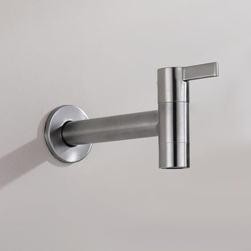 Decaura rubinetto giardino a muro lavatoio per acqua fredda a parete in acciaio inox lungo, rubinetto da esterno da muro spazzolato