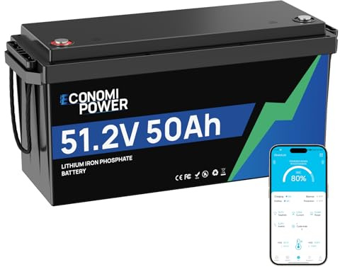 EconomiPower 48V 50Ah LiFePO4 Lithium Batterie mit Bluetooth & Integriertem 50A BMS, A-Zellen, 10 Jahre Lebensdauer, Perfekt für Solar, Wohnmobile, Trolling Motoren