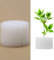 Zerodis 50Pcs Hydroponischen Schwamm Hydroponik Soilless Gemüseanbau Gartenbau Gemüse Pflanze Pflanzenwachstum Hydroponics System Sämling Schwämme Gewächshaus (32mm/1.3)