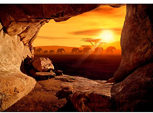 Runa Art Papier peint intissé Afrique Animaux 352 x 250 cm Laine papier peint Salon Chambre Bureau Couloir décoration Peinture murale décor mural moderne - 100% FABRIQUÉ EN ALLEMAGNE - 9343011c