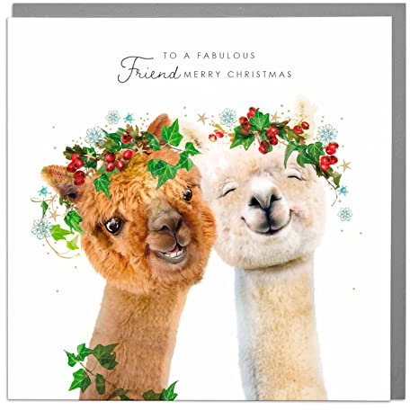 Lola Design – Alpaka Fabulous Friends – blanko Weihnachtskarte mit grauem Umschlag für Frauen