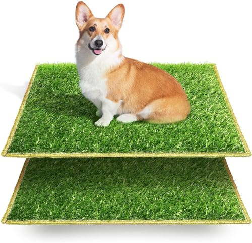 Hompet Hundeklo Hundetoilette Welpentoilette Trainingsunterlage - Indoor Töpfchen, Training Rasenmatte für Kleine und Große Hunde, Ältere - 58 x 46cm (2PCS-Ersatzgräser)
