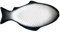KICHOUSE Vintage Tablett Japanische Teller Glasschale Set Fischteller Keramik Garnelen Servierplatte Porzellan Servierplatte Sushi Teller Snack Kleines Aquarium Keramik Geschirr Kreative Platte