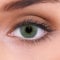 LENZOTICA 2 Stück (1 Paar), Sehr stark natürlich deckende PLATINUM GREY farbige Kontaktlinsen – graue 3 Monatslinsen ohne Stärke, Soft Lens, DIA 14.00