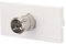 Computer Spares TV Aerial Module – Suitable For Connecting TV Coaxial Fly Lead/Cable – 25mm x 50mm size