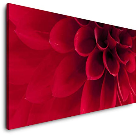 rote Dahlie Nahaufnahme 120x 60cm Panorama Leinwand Bild XXL Format Wandbilder Wohnzimmer Wohnung Deko Kunstdrucke