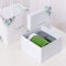 Tea Cup Ceramic Mug With Lid Biscuit Plate 301-400ml Apple green + lid + gift box bag