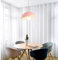 Chao Zan Suspension luminaire, lustre au look vintage et rétro, lampe suspendue en Métal lumière cage, douille E27 Lustre Plafonnier d'Eclairage, Ø 30 cm，rose Couleur