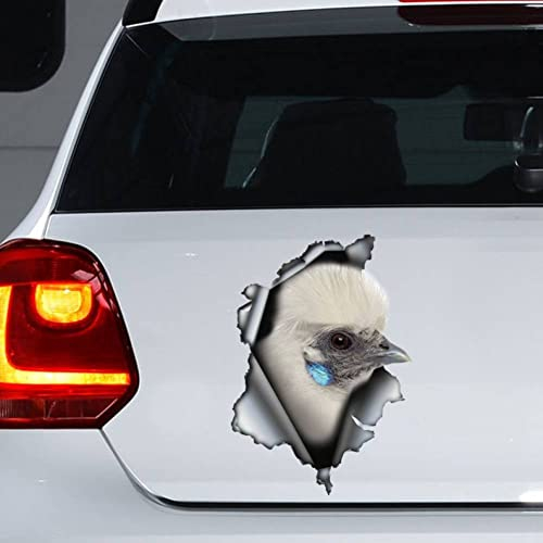 PBHYDK 2 Stücke Huhn Auto Aufkleber, Huhn Magnet, Huhn Auto Aufkleber, Aufkleber Laptop Koffer LKW Zubehör Auto Aufkleber Dekoration Aufkleber Lustiger Autoaufkleber