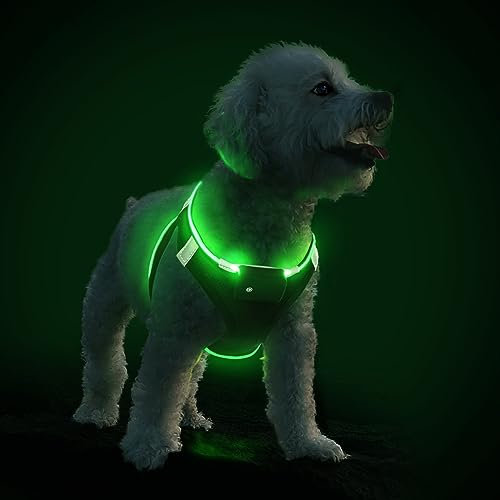 PcEoTllar Hundegeschirr Leuchtend, Leuchtgeschirr LED Aufladbar & Reflektierendes, Beleuchtetes Leuchtgeschirr für Welpe Klein Mittlere Hund, Atmungsaktiv Leucht Geschirr, Schwarz Grün-S
