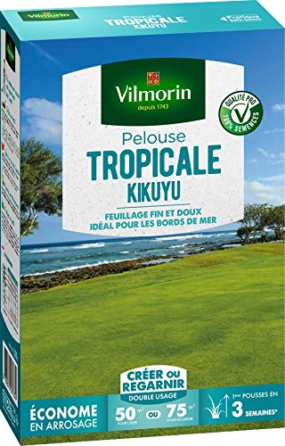 VILMORIN Kikuyu Tropical Rasen – ideal am Meer – Trockenheitsbeständig – energiesparend – fein und weich hellgrünes Laub – Rasen erstellen/Nachbeleben eines alten Rasens – 500 g