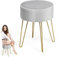 RELAX4LIFE Pouf Coiffeuse Rond, Tabouret Velours de Coiffeuse avec Pieds en Métal Doré Style de Luxe Moderne, Chaise Coiffeuse Chambre Rembourrée pour Salon Bureau Ø38,5X43CM (Gris)