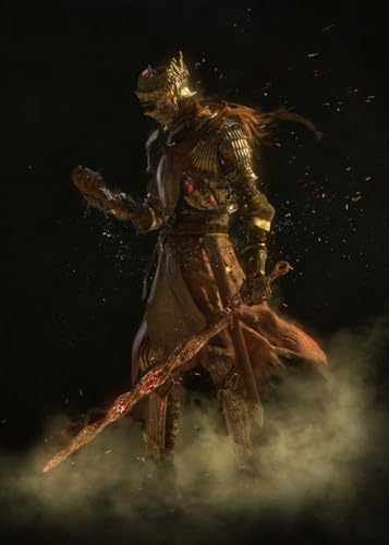 Displate Offiziell Dark Souls MetallPoster Magnetische Befestigung Inklusive Lizenziert Bilder Hochwertiges Poster The Fire Fades 45 cm x 32 cm
