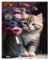 Miquans Art Peinture Par Numéros Pour Adulte, DIY Peinture Acrylique Pour Adultes Enfants Débutants Facile sur Toile (40×50 cm) avec Peintures et Pinceaux,Vase Chat