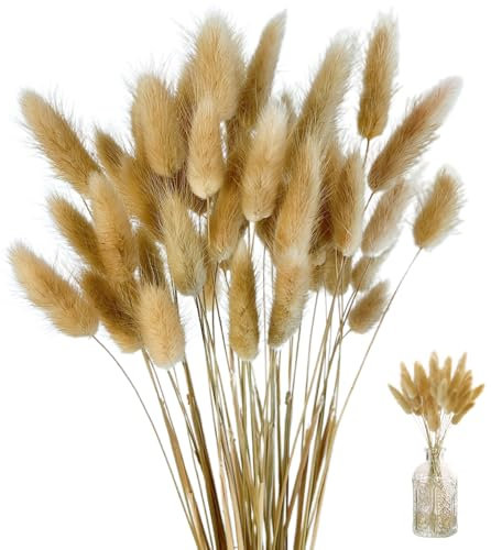60 PCS Getrocknetes Pampasgras,natürlich Getrocknete Blumensträuße,Schlafzimmer Indoor Hochzeit Home Decoration,Hasenschwanzgras Getrocknet Pampasgras Deko