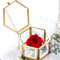 Vulevirtue Schmuckschatulle aus Metall und Glas,Geometrische Schmuck Box Transparent Glas Schmuckkoffer,für Organizer Halsketten, Ohrringe, Ringe,Schmuck,Sechseckig Schmuckbox (Golden)