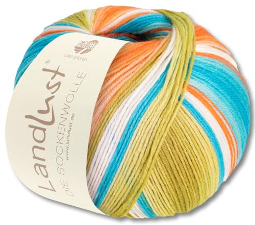 Frida's Wollhaus Lana Grossa 100 g Landlust die Sockenwolle 4-fädig Stricken Wolle Garn 33 Farben (117)