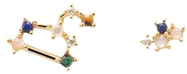 Leo Twelve Constellations Ohrringe – Luxuriöse, Modische, Bunte Zirkon-Ohrringe, Modischer Sternbild-Piercing-Schmuck, Geschenke Für Frauen Und Mädchen, Einheitsgröße