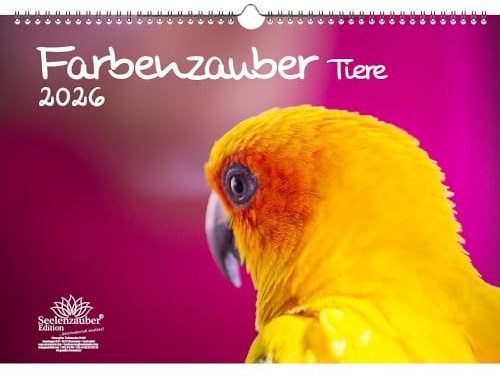 Farbenzauber Tiere DIN A3 Kalender für 2026 Farben Colours - Seelenzauber