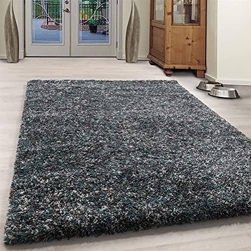BPIL Shaggy Rug Trellis DESIGN Modern Rugs Living Room Extra Large Small Rectangular Size Soft Touch Thick Fluffy Pile Living Room Area Rugs Non Shedding (ENJ BLUE, 80X150CM)