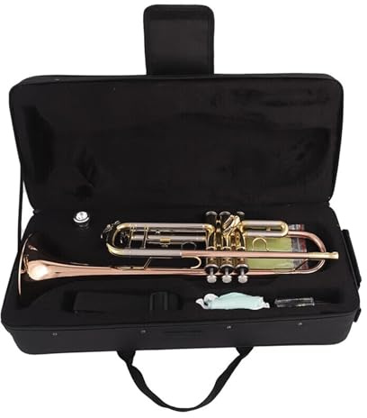Trompete in B Phosphorbronze Instrument für Anfänger