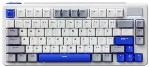 Rapoo V700DIY-75 Wireless Mechanical Keyboard, BT5.0 + 2.4GHz Hot Swappable Custom Gaming Keyboard, Speed Silver Linear Switch, 16.8M Per-Key RGB, Gasket Mount, Creamy Sound, Anti-Ghosting, US Layout