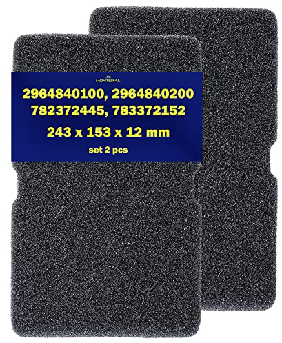 2 Pezzi Filtro Asciugatrice 240 x 155 x 10 mm con Codice Originale 2964840100 2964840200 per Beko per Grundig per Blomberg per ElektraBregenz - MONTERAL