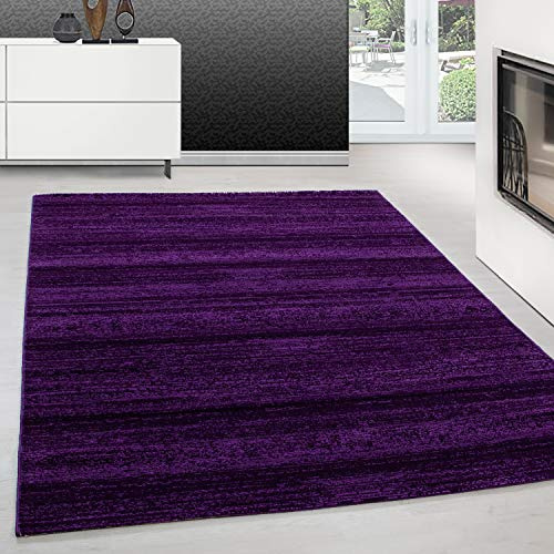 Teppium Moderner Kurzflor Teppich Wohnzimmer 240 x 340 cm Lila - Flauschiger Teppich Waschbar, Einfarbig, Pflegeleicht, Weich - Ideal für Schlafzimmer, Esszimer und als Küchenteppich
