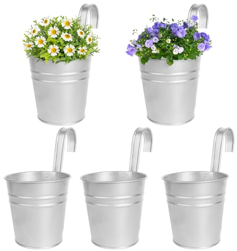 BOFUNX 5 Maceteros Colgantes de Hierro de Metal Macetas Pequeñas Colgar con Gancho con Orificio de Drenaje de Color Plata para Decoración Exterior Balcón Jardín Patio Pared Terraza