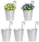 BOFUNX 5 Maceteros Colgantes de Hierro de Metal Macetas Pequeñas Colgar con Gancho con Orificio de Drenaje de Color Plata para Decoración Exterior Balcón Jardín Patio Pared Terraza