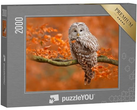 puzzleYOU: Puzzle 2000 Teile „Herbstaufnahme mit Eule, Uralkauz, sitzt auf AST im Eichenwald, Norwegen“ – aus der Puzzle-Kollektion Eulen, Tiere, Vögel, Exotische Tiere & Trend-Tiere